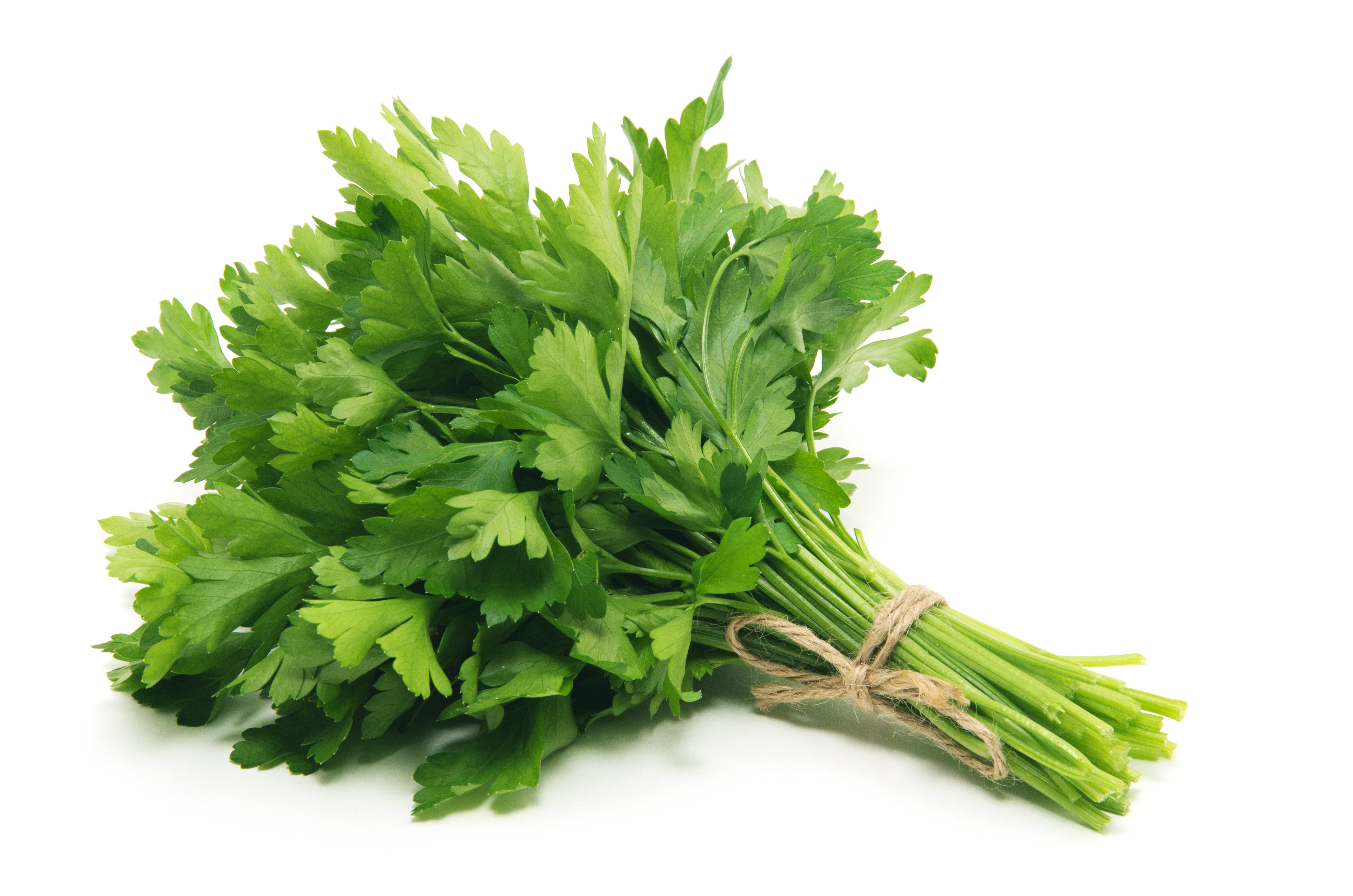 Parsley - Hydroponically Grown, 100 g